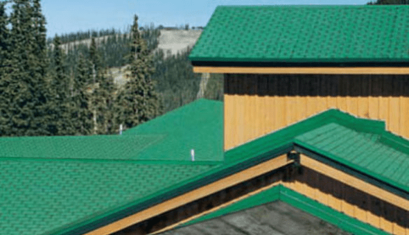 Green Roof tile